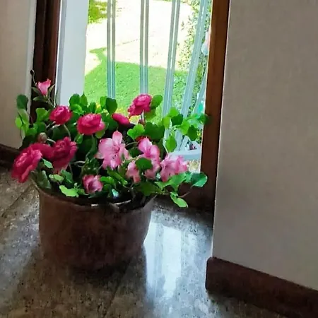 Rosetta Tra E Monti *