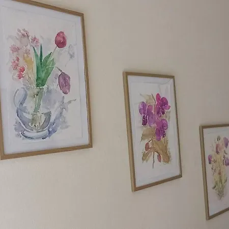 Rosetta Tra E Monti 别墅 *