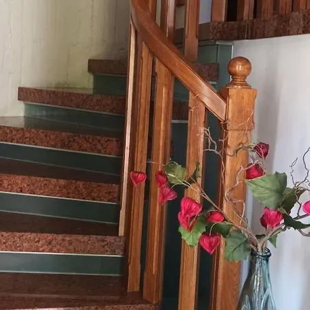 Rosetta Tra E Monti 别墅 *